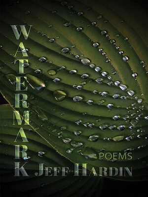 cover image of Watermark